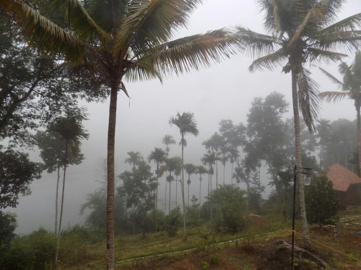 Misty Mornings Resort Ambalavayal Esterno foto