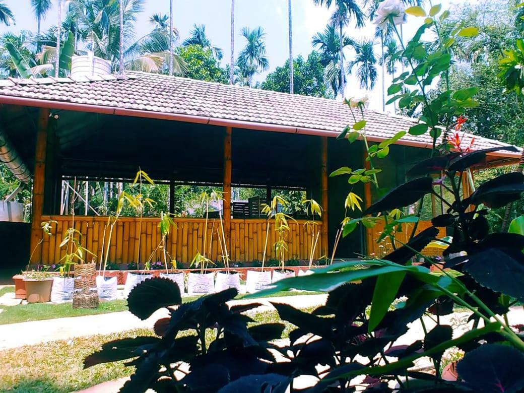 Misty Mornings Resort Ambalavayal Esterno foto