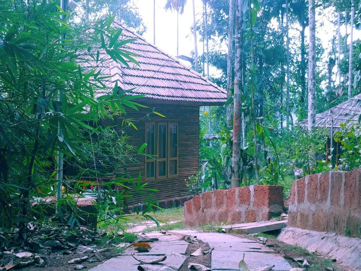 Misty Mornings Resort Ambalavayal Esterno foto