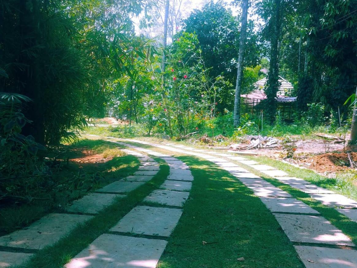 Misty Mornings Resort Ambalavayal Esterno foto