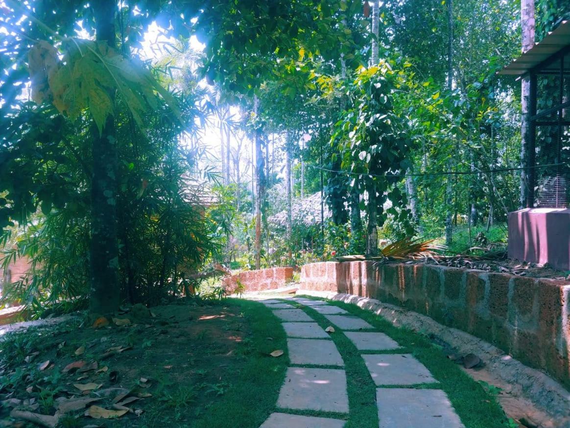 Misty Mornings Resort Ambalavayal Esterno foto