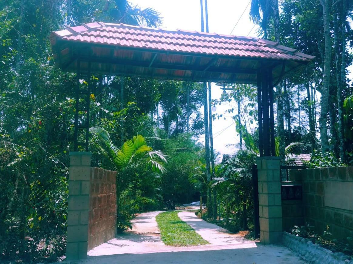 Misty Mornings Resort Ambalavayal Esterno foto
