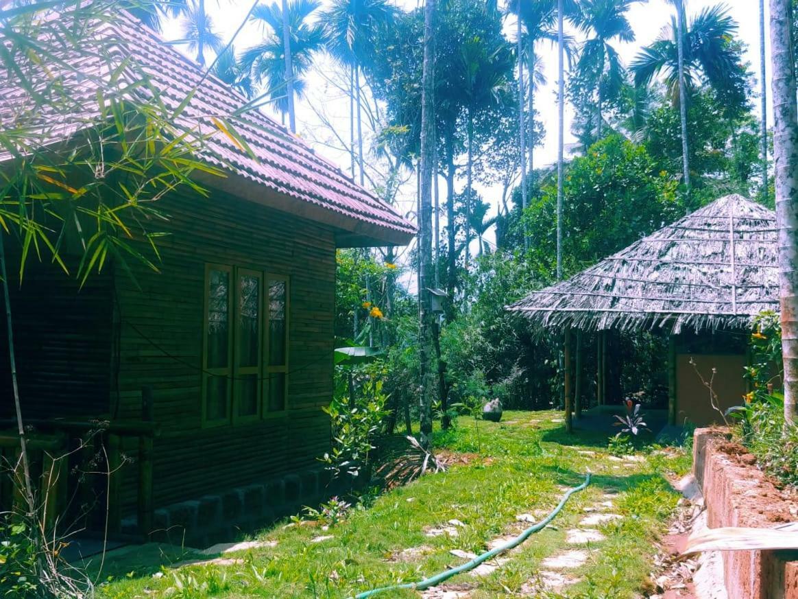 Misty Mornings Resort Ambalavayal Esterno foto